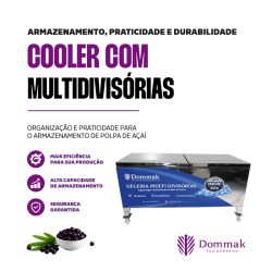 Cooler com Multi Divisoria